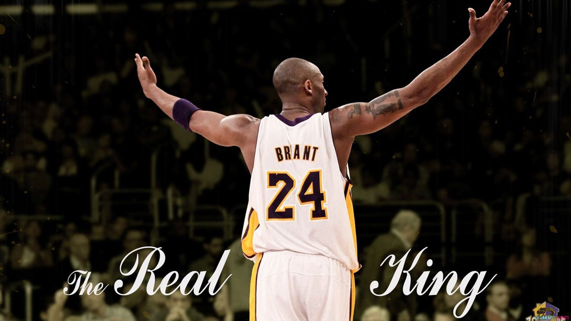 联盟“绿色环保”升级：打造可持续发展的篮球生态，绿蓝环境保护协会